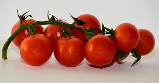 Sunset Flavor Bombs Cherry Tomatoes on the Vine (16oz)