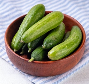 Mini Cucumbers