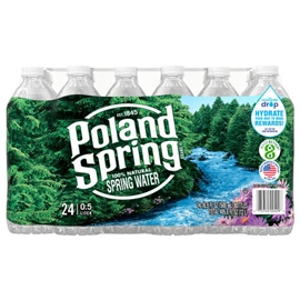 Poland Spring (Case24)