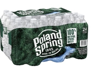 Poland Spring (Case24)