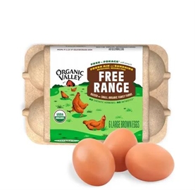Organic Valley Organic Large Brown Eggs 6ct
