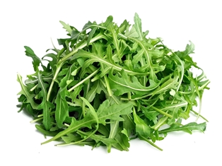 Arugula Lettuce