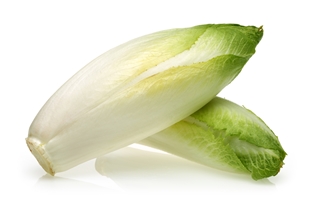 Endive White