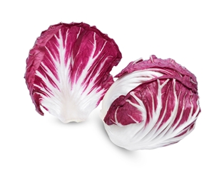 Radicchio