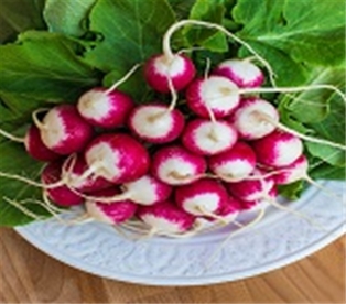 Bunched Radish