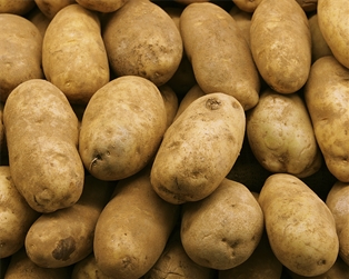 Idaho Baking Potato