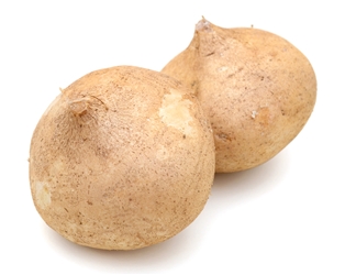 Jicama