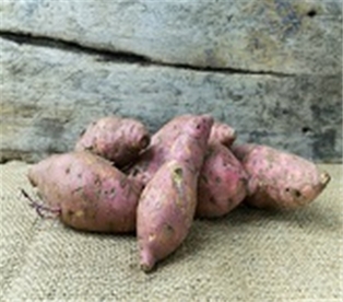 Organic Garnet Yams