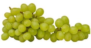 Cotton Candy Grapes