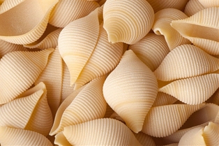 Fabianelli Large Shells (16 oz)