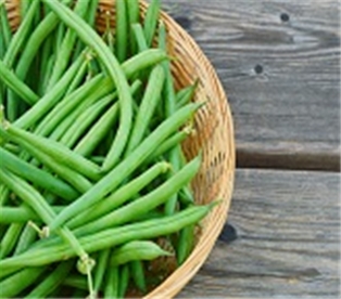 String Beans