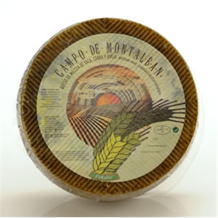 Campo De Montalban