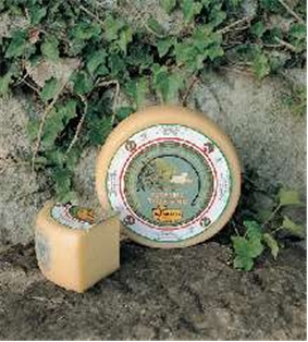 Pecorino Toscana Fresh Dop