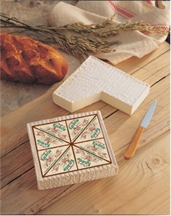 Brebicet