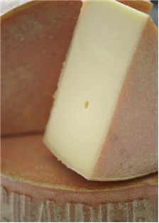 Scharfer Maxx Cave Aged Swiss