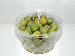 Castelvetrano Conzata Pitted Olives