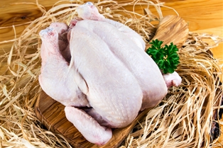 Chicken Giannone F.R