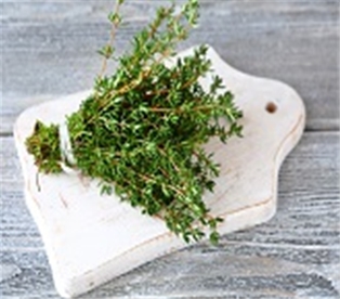 Thyme A&amp;V