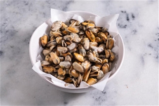 Fresh Mussel Meat