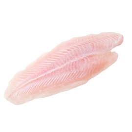 Corvina Fillet
