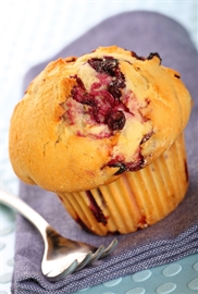 BLUEBERRY MUFFIN LG