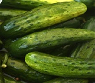 Half Sour Pickles (New) Ny Style
