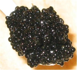 American Sturgeon Hackleback Caviar (2Oz)