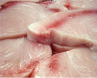 Swordfish