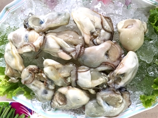 Oysters Blue Point