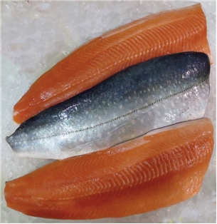 Arctic Char Fillet