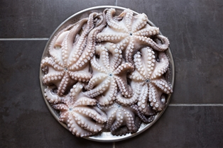 Octopus Spanish Large Whole