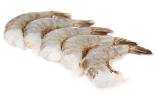 Wild Jumbo Ecuadorian Shrimp