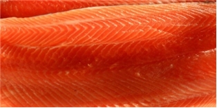 Wild Alaskan Coho Salmon Fillet