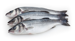 Sea Bass (Black) Whole