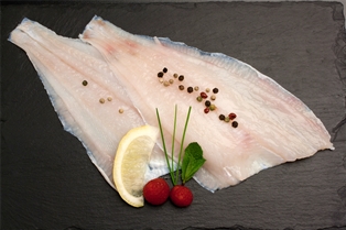 Bluefish Fillet