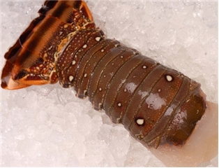 Wild Brazilian Lobster Tails (8Oz)