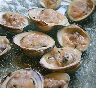 Little Neck ( Shucked)