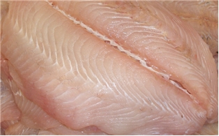 Flounder Fillet