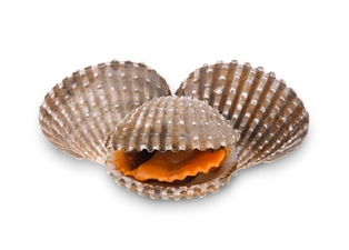 Cockles