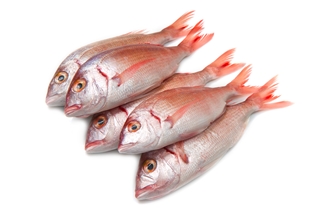 Red Snapper Whole