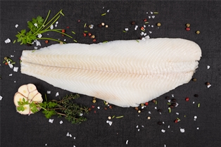 Halibut Fillet
