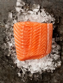 Salmon King Wild  Troll