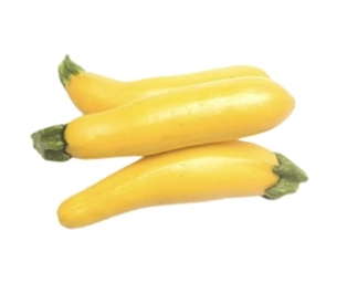 Yellow Zucchini