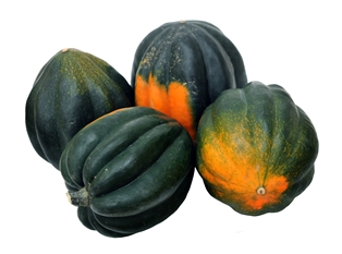 Acorn Squash