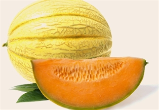 Melon Honeydew Golden