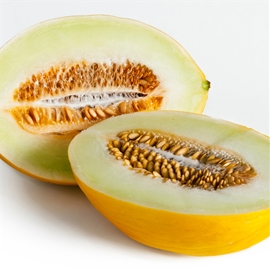Canary Melon