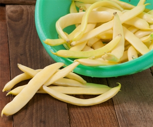 Yellow Romano Beans