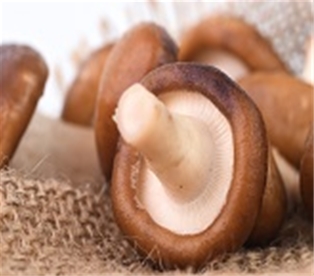 Fresh Shiitake Mushrooms