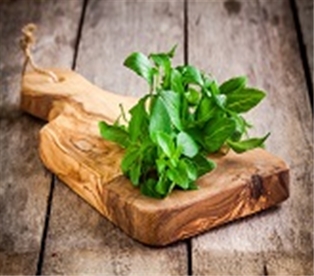 Basil A&amp;V