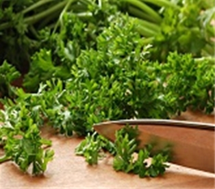 Parsley Curly